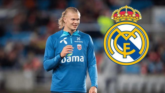 预计到20 预计到20